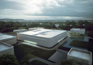 做中國自己的茶葉品牌 小罐茶創始人杜國楹的制茶情懷