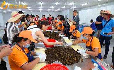 柑普茶品牌如何走出標(biāo)桿步伐?