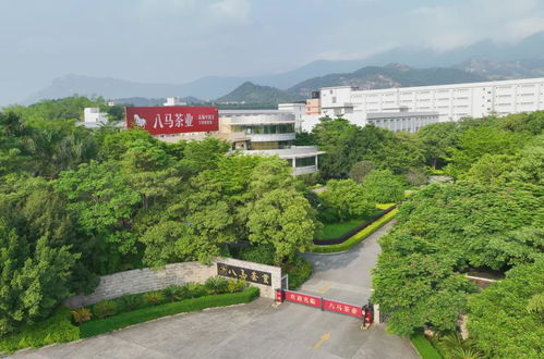 走進八馬茶業(yè)安溪總工廠 ,赴一場會回甘的約