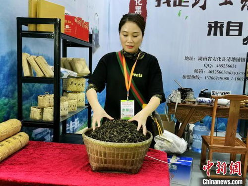 第十二屆湖南茶業(yè)博覽會開幕 展精準扶貧成果