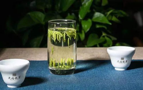 天府龍芽 攜四川主產茶區(qū) 三山一早 公共品牌登陸紐約時報廣場