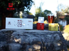 蒲門茶業(yè)將亮相6月沈陽茶博會(huì)