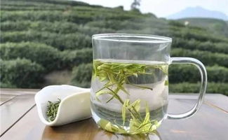 茶商巡禮之大霧山茶業 以茶為心，以誠為葉